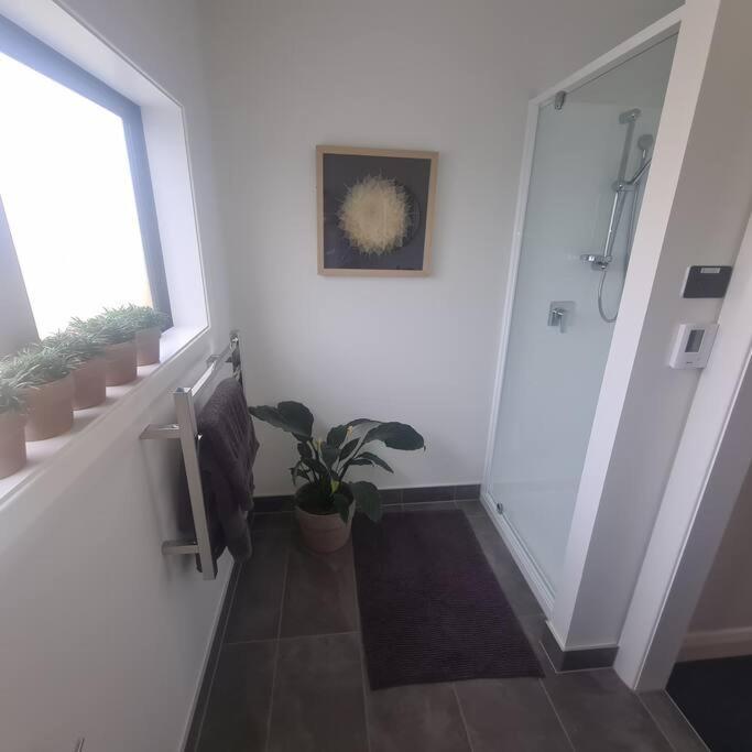 Apartment 3 - Haddin Court - Industrial Glam Μπλένχαϊμ Εξωτερικό φωτογραφία